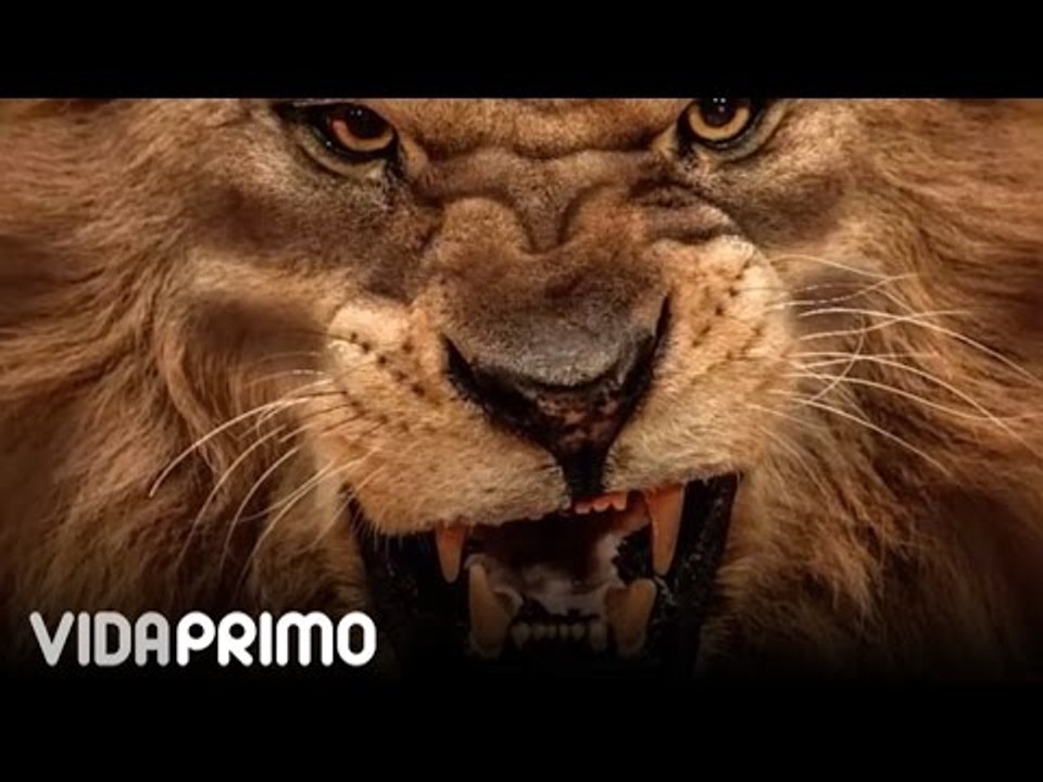 Tempo - Desperté [Official Audio]