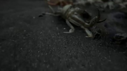 Actor de The Walking Dead protagonizará el videojuego "Death Standing"