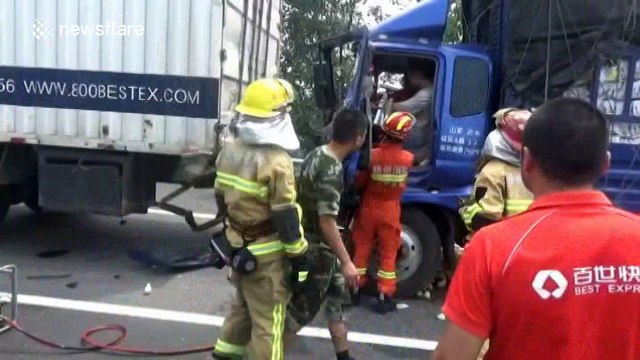 Thousands of chickens run onto motorway after lorry crash