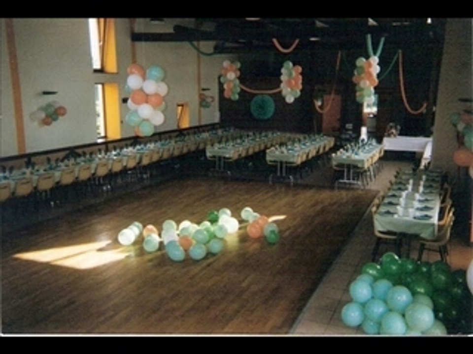 Mariage coco daveMSWMM