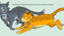 Warrior cat facts!