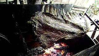 barbecue  gaucho Brazilian