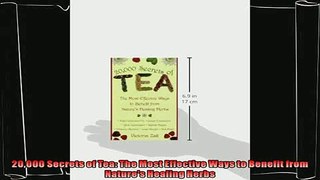 read now  20000 Secrets of Tea The Most Effective Ways to Benefit from Natures Healing Herbs