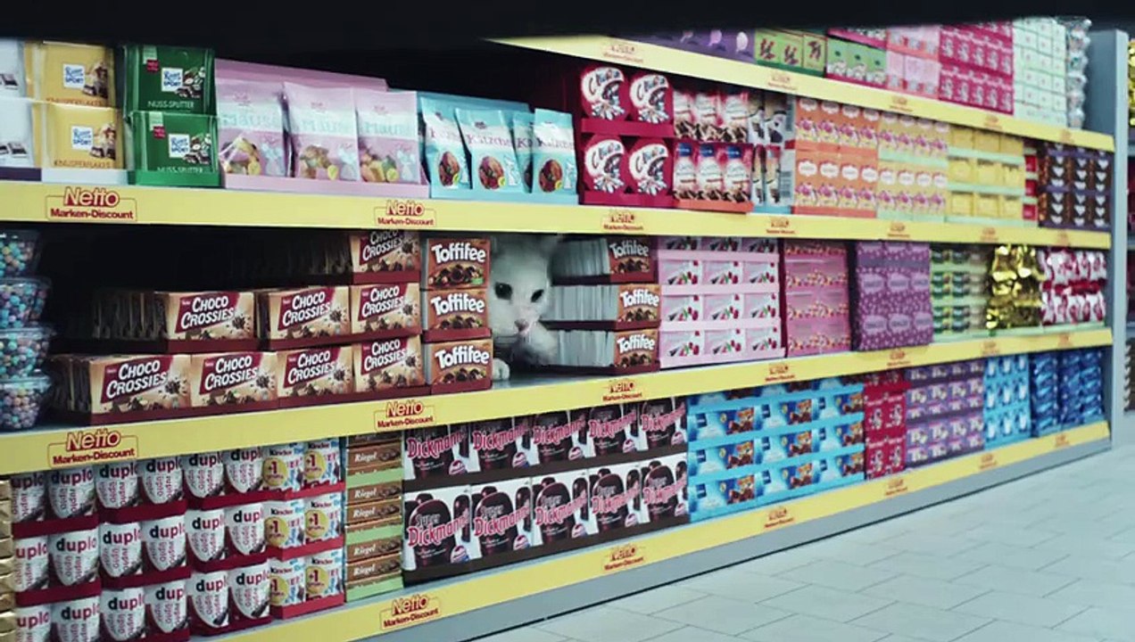 Pub trop mignonne : Des chats font leur course