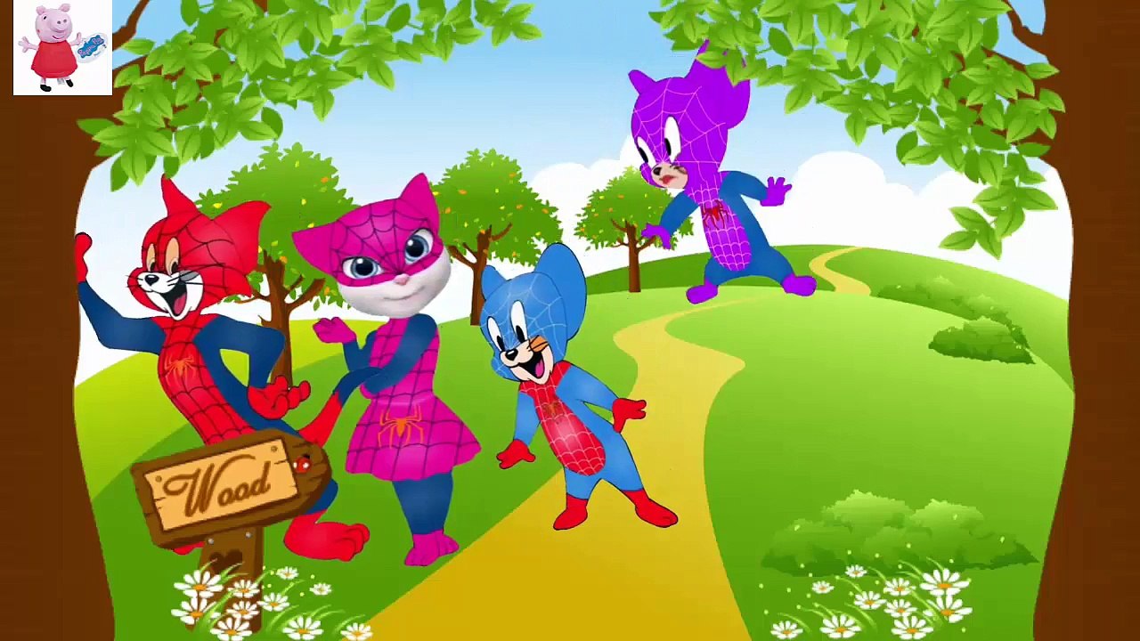 NEW Peppa Pig !!-Tom and Jerry Spiderman Finger Family Song.Cartoon Nursery Rhymes Songs for Kids