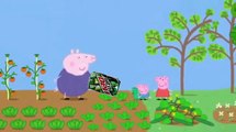 Mlg peppa pig Pepper pig eats weed