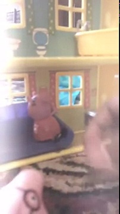 The peppa pig house d