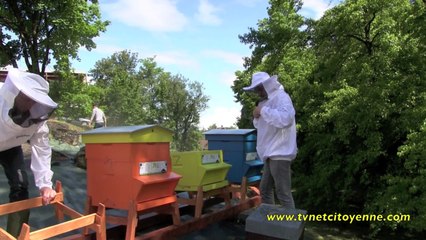 Les abeilles arrivent au Parc d'activités de Côte Rousse
