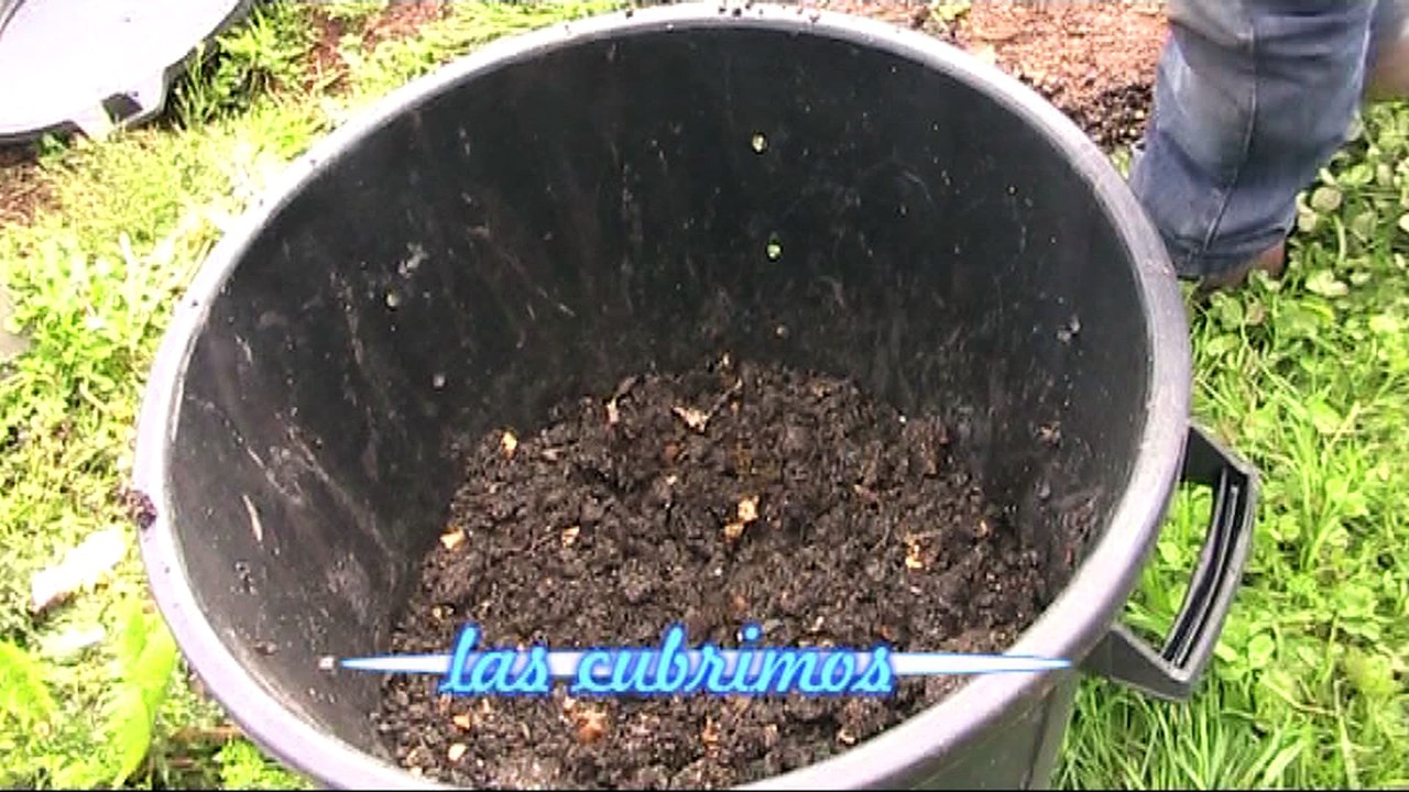 Cultivo de patatas en un cubo (tuhuertofacil.es)