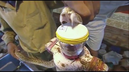 This Is What Snake Venom Will Do To Your Blood