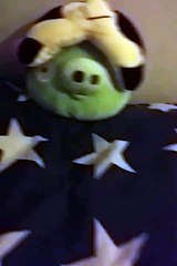 The forever alone pig | Episode 1