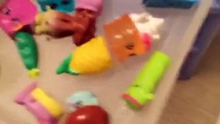 Amigos del mundo de Shopkins envase para guardar Shopkins