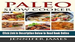 Read Paleo Slow Cooker : Quick   Easy Gluten-Free Recipes for Busy Families (Paperback)--by