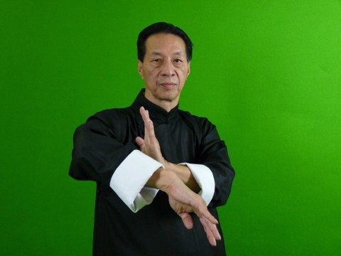 Samuel Kwok Wing Chun