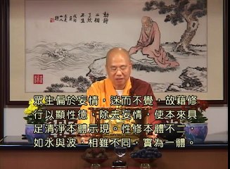 午斋过堂开示 (粤语)  修心养性 - 观成法师主讲