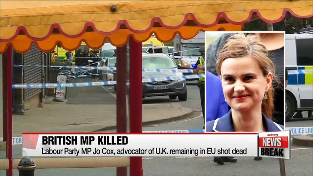 Campaigning on EU referendum suspended after killing of British MP