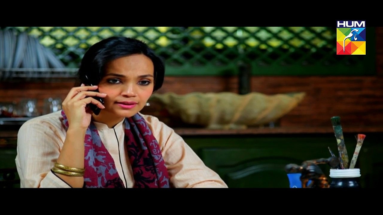Pakeeza Episode 19 Full HD HUM TV Drama 16 June...