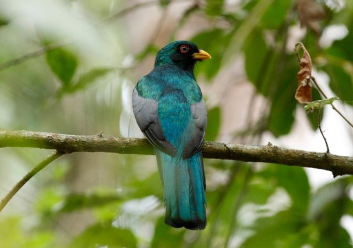 Reserva Ecológica Manglares Churute