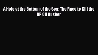 [PDF] A Hole at the Bottom of the Sea: The Race to Kill the BP Oil Gusher Read Online