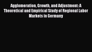 [PDF] Agglomeration Growth and Adjustment: A Theoretical and Empirical Study of Regional Labor