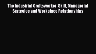 [PDF] The Industrial Craftsworker: Skill Managerial Stategies and Workplace Relationships Read