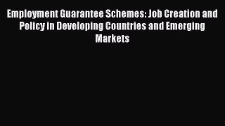 [PDF] Employment Guarantee Schemes: Job Creation and Policy in Developing Countries and Emerging