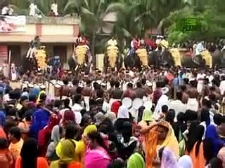 Elephant rampage kerala