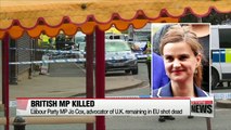 Campaigning on EU referendum suspended after killing of British MP