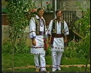 Braca Geljic - Poletio soko ptica