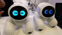 His name is Ijini, family friendly robot