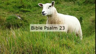 Bible Psalm 23