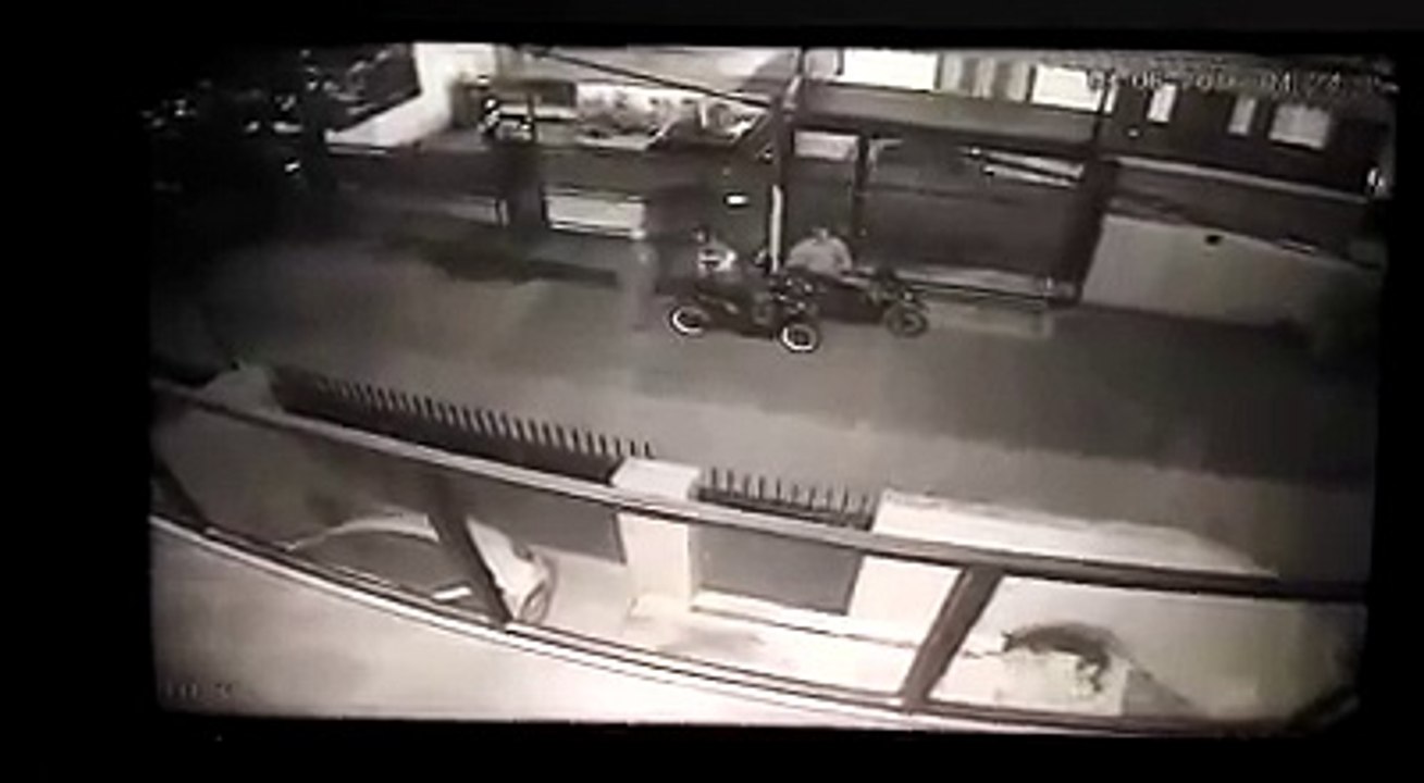 Komplotan Pencuri Anjing Rumahan