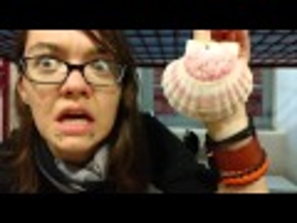 Day 31: I GOT MY SHELL?!