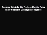 [PDF] Exchange Rate Volatility Trade and Capital Flows under Alternative Exchange Rate Regimes