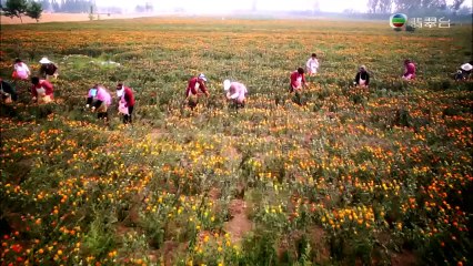 TVBOXNOW 人間絕色 EP02