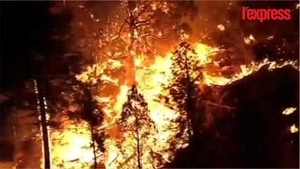 États-Unis: impressionnants feux de forêt dans le sud-ouest du pays