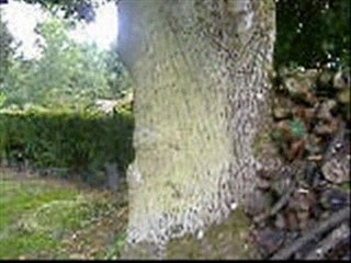 Vacs à la campagne part 4