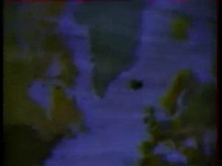 ASSASSIN SHOOTA BABYLONE