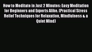 Download How to Meditate in Just 2 Minutes: Easy Meditation for Beginners and Experts Alike.