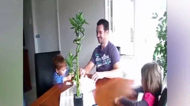 Ce gamin donne tout pour souffler ses bougies... Pas facile et tellement drôle