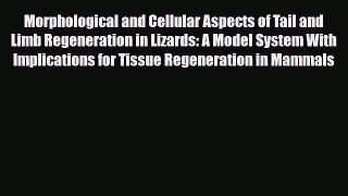 Read Morphological and Cellular Aspects of Tail and Limb Regeneration in Lizards: A Model System