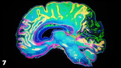 7 Mysteries Science CAN'T EXPLAIN