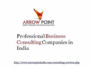 Professional Business Consulting Companies in India