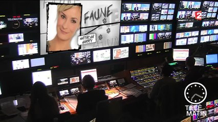 Faune-Le Parc des oiseaux