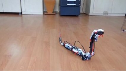 Robot Yılan" Okulun Maskotu Oldu