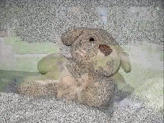 Notre petite Famille !