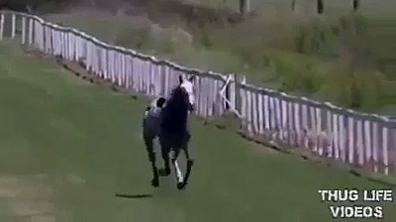 Elle pense pouvoir arrêter un cheval lancé à pleine vitesse.