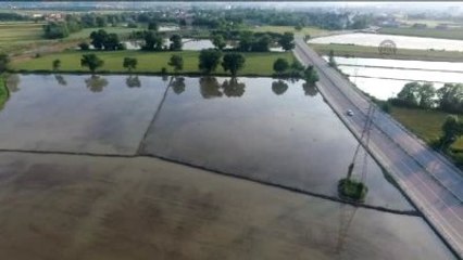Mevsim Şartları Uygun Giderse Üreticinin Yüzü Gülecek"