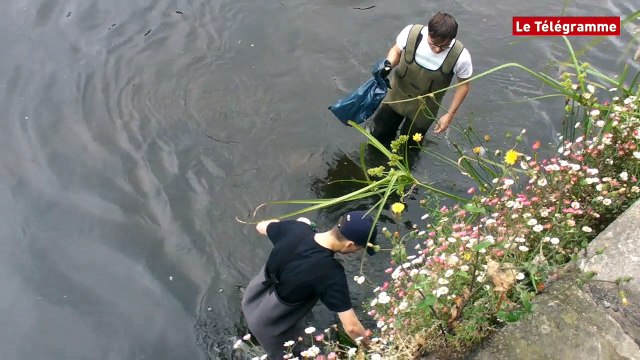 Quimper. La pêche aux déchets