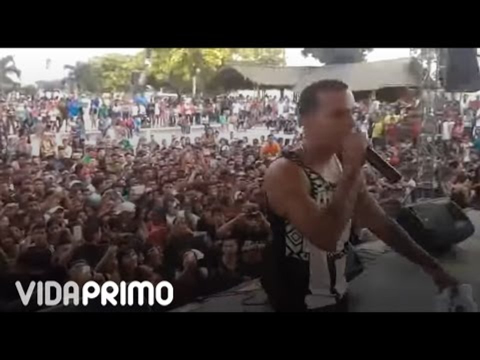 Papi Wilo Que culpa tengo yo en vivo